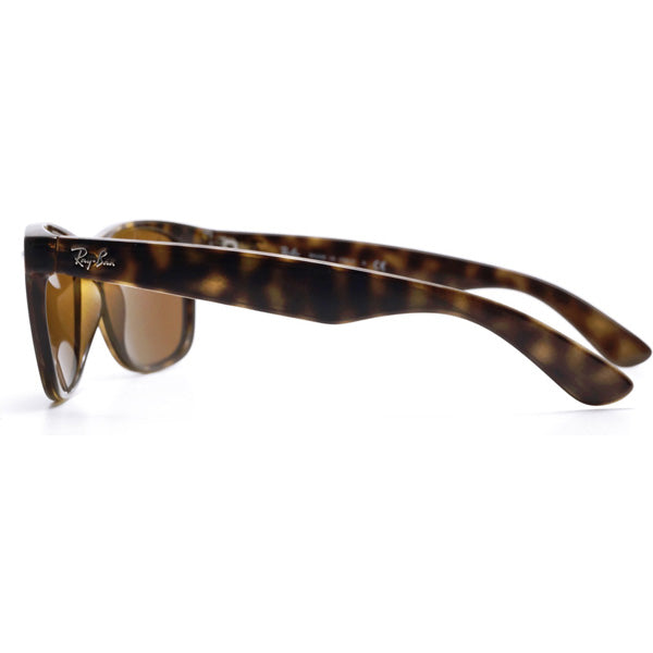 New Wayfarer - Tortoise Brown